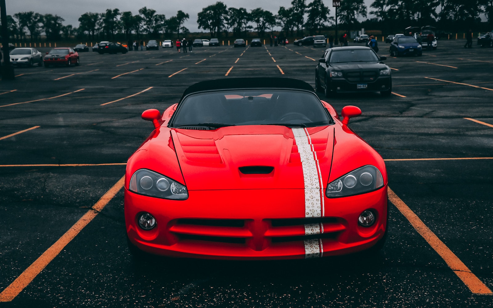 Lanyuan Double Skin Milk Powde